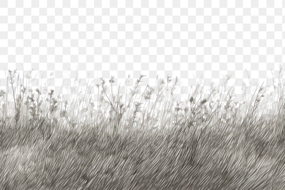 PNG Meadow field border backgrounds outdoors drawing. AI generated Image by rawpixel.