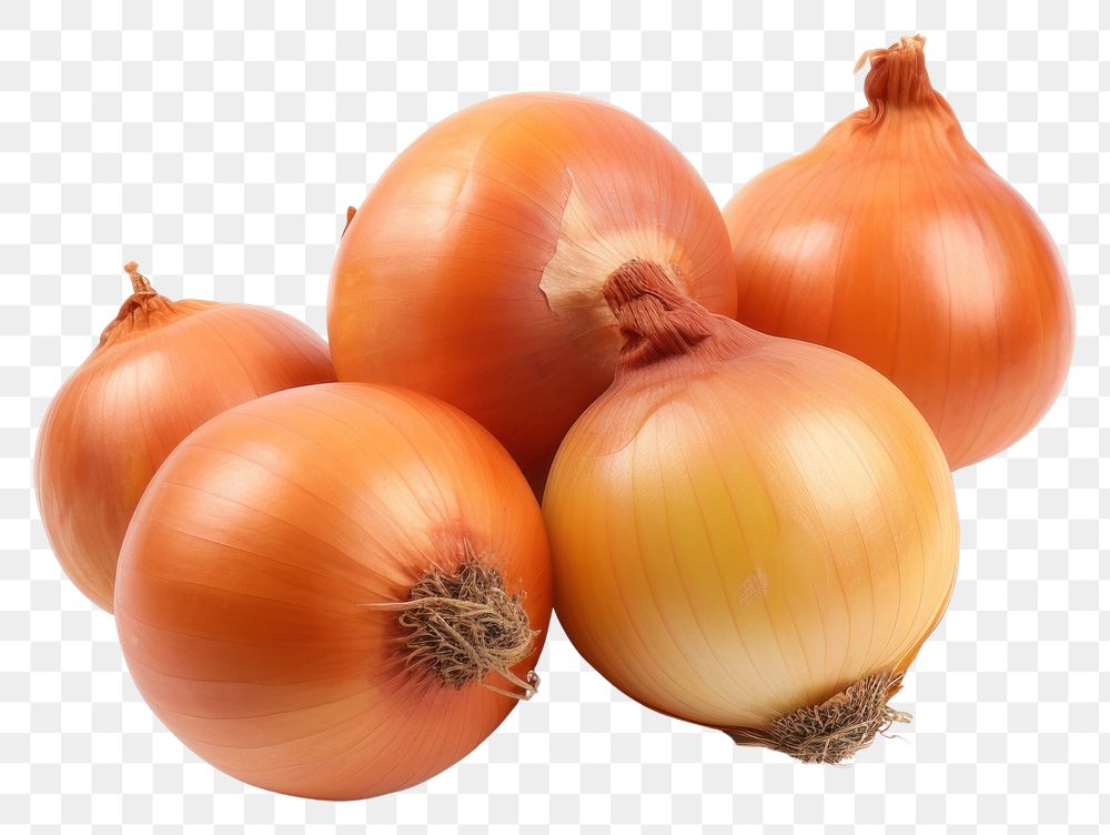 PNG Onion bulbs vegetable shallot plant.