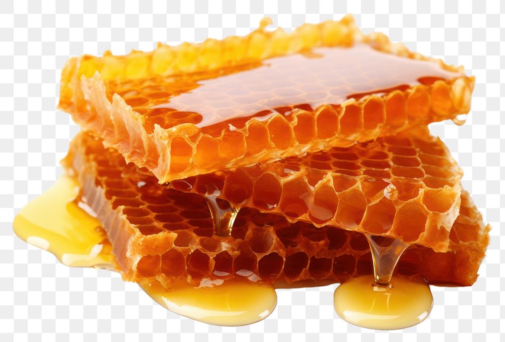 PNG Honey and honeycomb food white background apiculture. AI generated Image by rawpixel.