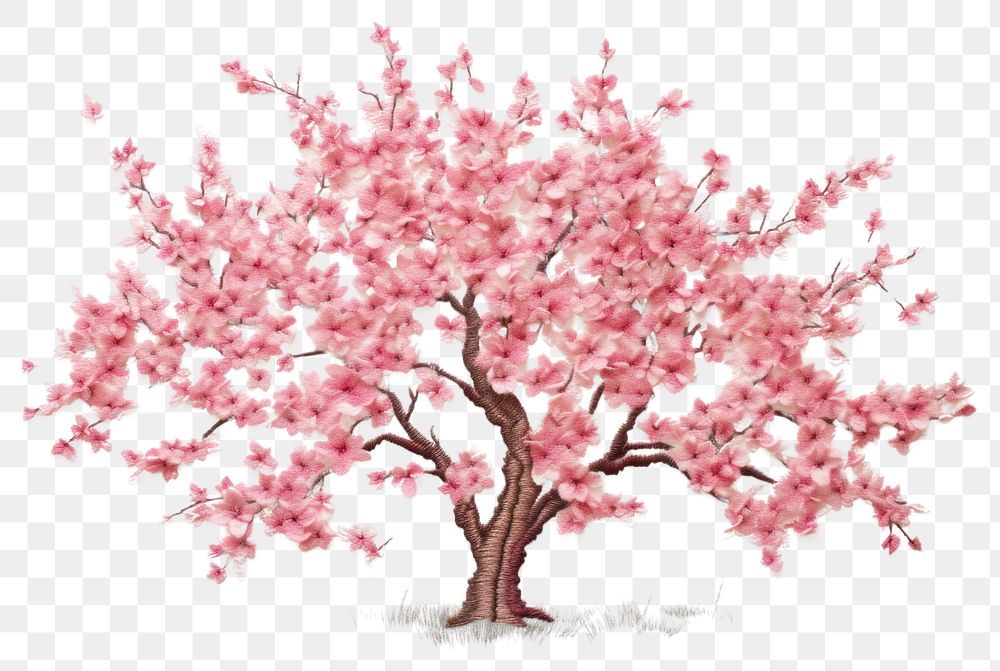 PNG Cherry blossom tree in embroidery style flower plant creativity.