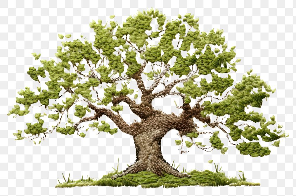 PNG Oak tree in embroidery style bonsai plant green.