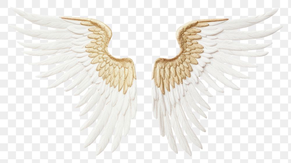 PNG Wings in embroidery style angel white bird.