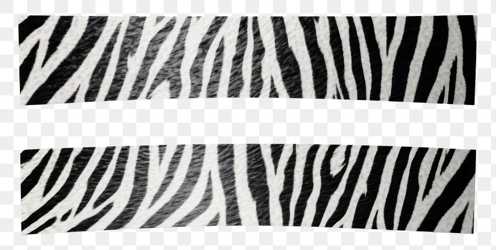PNG Zebra pattern paper adhesive strip mammal white white background. AI generated Image by rawpixel.