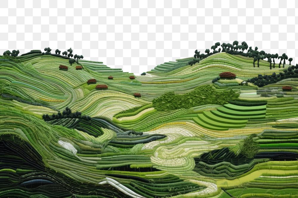 PNG Rice terrace landscape agriculture outdoors