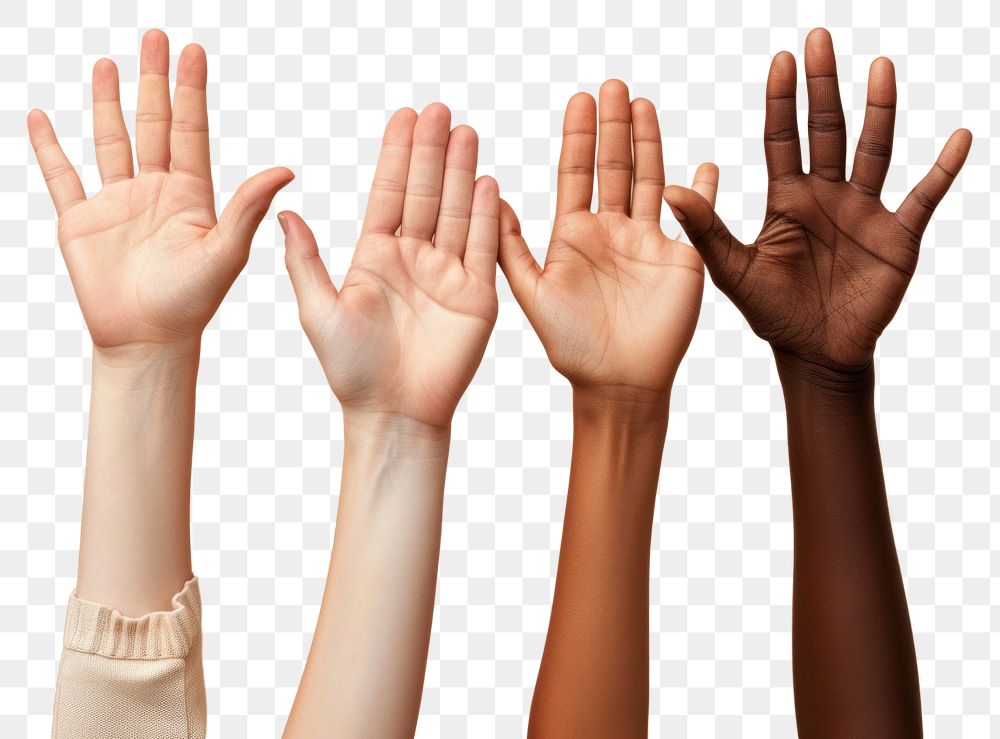 PNG Group of hands together finger gesturing person.