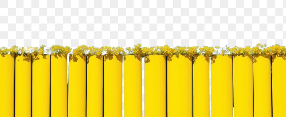 PNG Rapeseed field outdoors nature fence. AI generated Image by rawpixel.