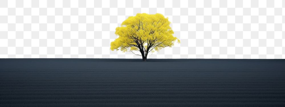 PNG Rapeseed field landscape outdoors nature. AI generated Image by rawpixel.