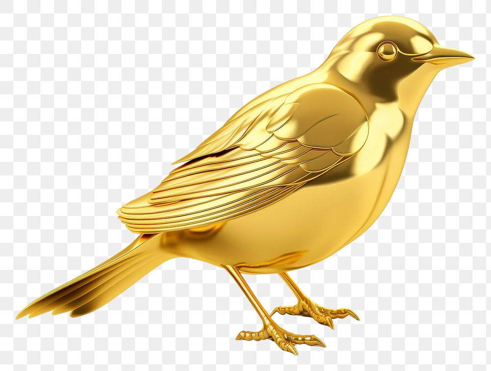 PNG Bird animal canary gold.