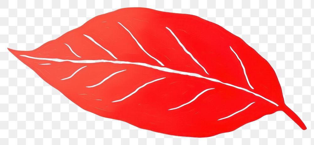 PNG A red tree leaf plant white background blossom.