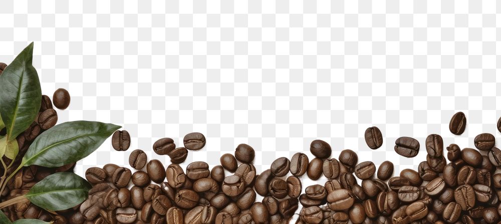 PNG Coffee beans border backgrounds paper freshness.