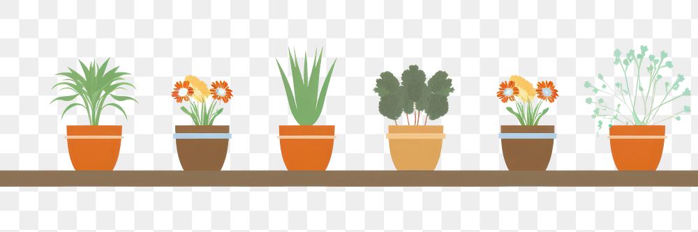 PNG  Illustration of flower pots border windowsill plant arrangement.