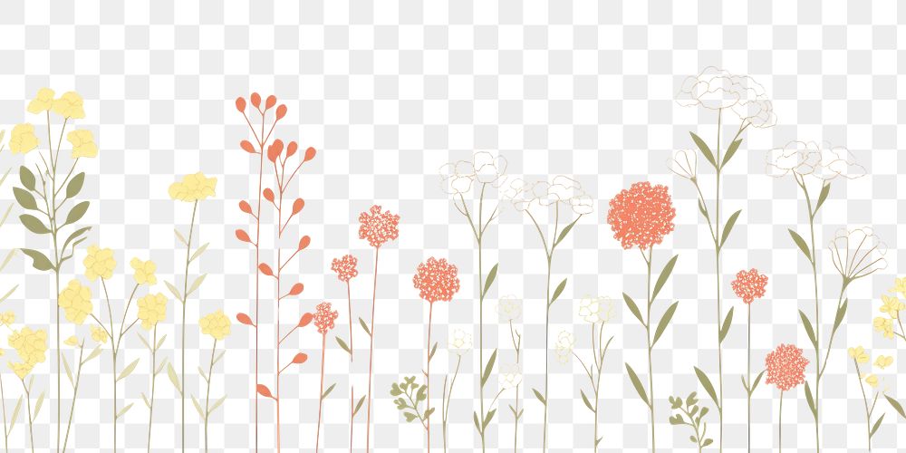 PNG  Illustration of flowers border pattern drawing sketch