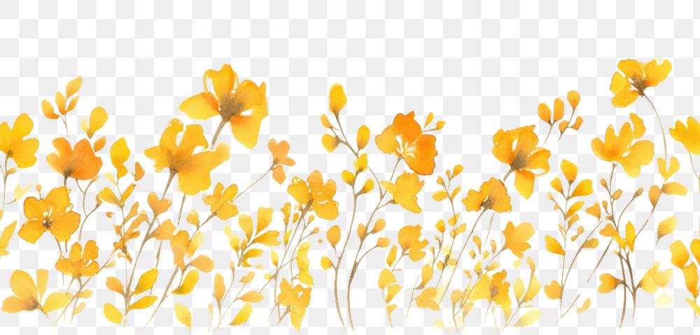 PNG Golden flowers backgrounds plant petal.