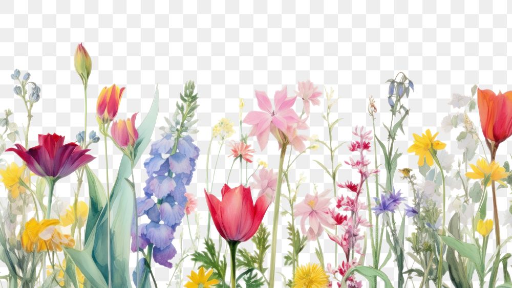 PNG Pastel flowers backgrounds outdoors blossom.