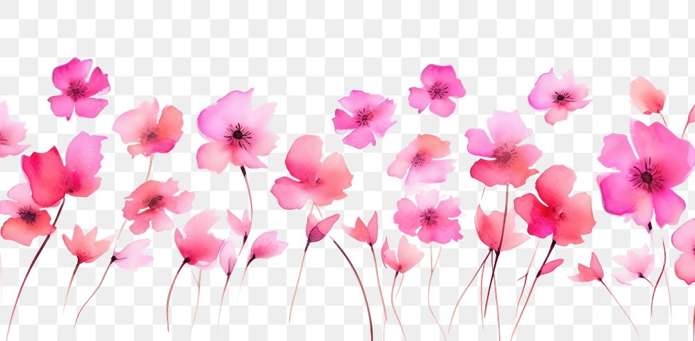 PNG Pink flowers petal plant white background.