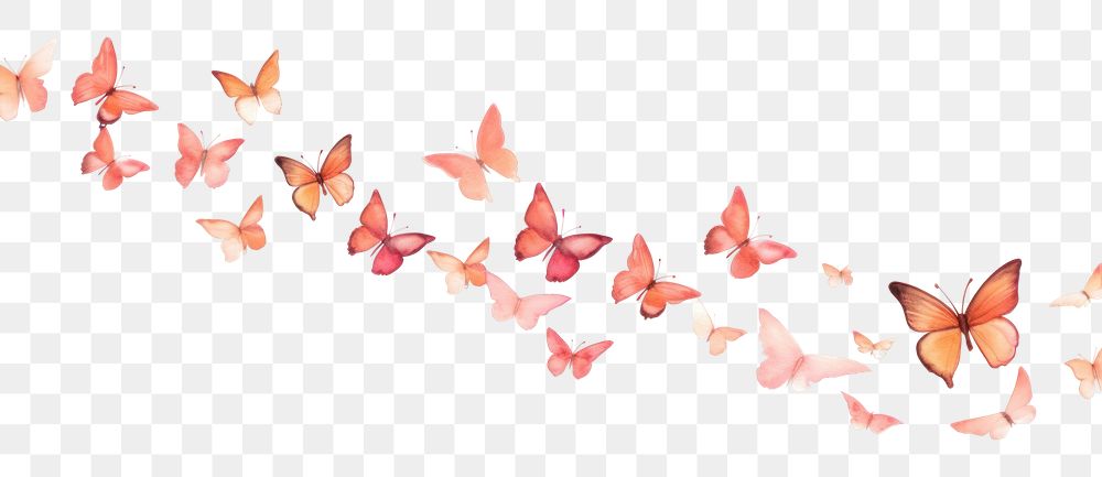 PNG Rose gold butterflies animal petal white background.