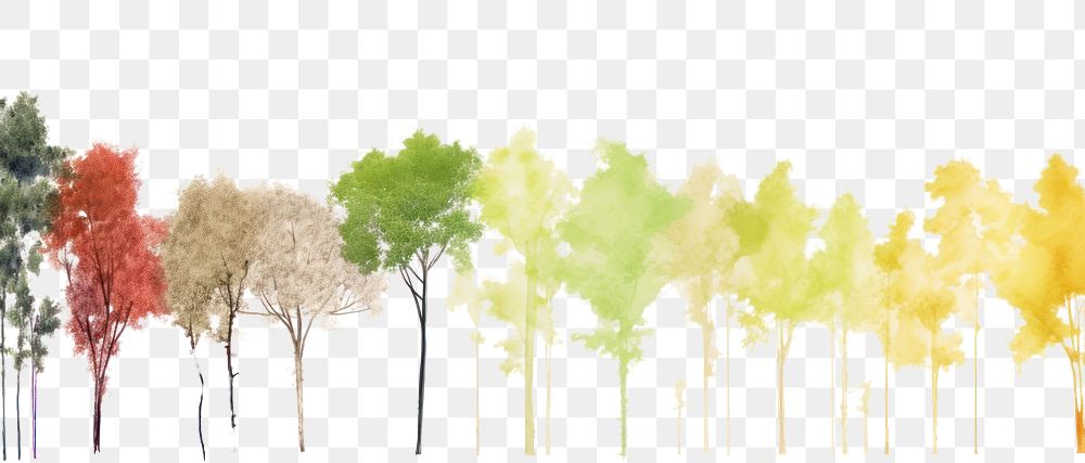 PNG Trees backgrounds outdoors nature.