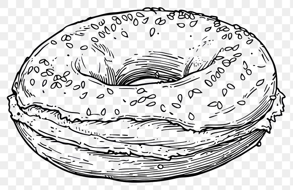 PNG Bagel drawing bread food.