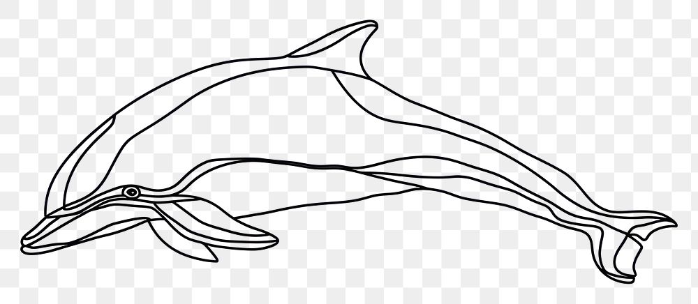 PNG Dolphin drawing animal mammal.