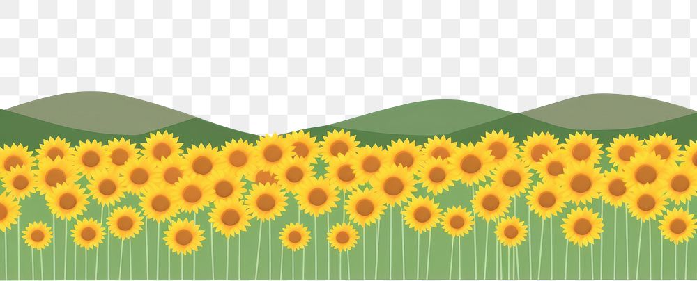 PNG Illustration of sunflower field border plant backgrounds landscape.