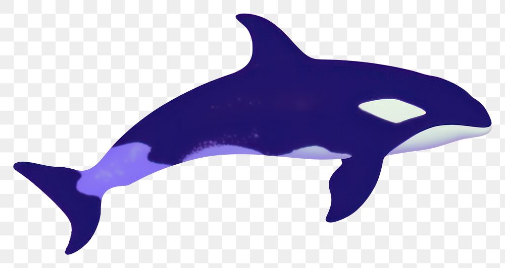 PNG  Orca whale animal mammal fish.