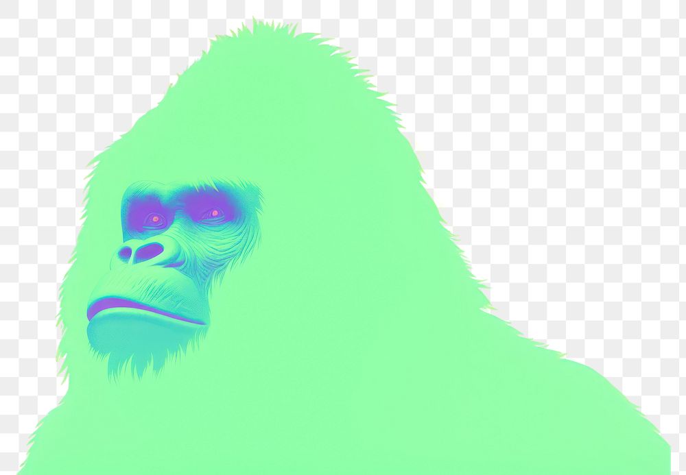 PNG  Gorilla ape creativity wildlife.