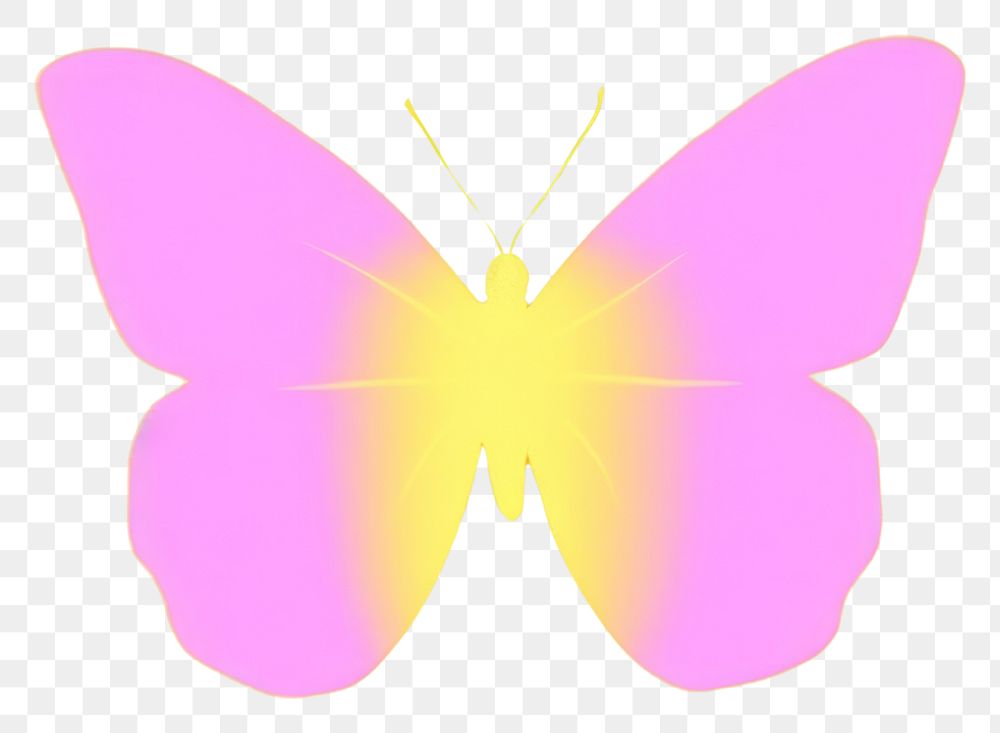 PNG  Butterfly animal insect invertebrate.