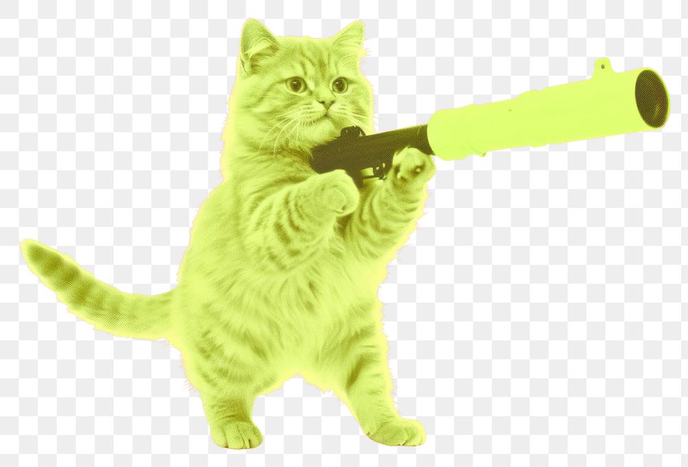 PNG  Cat holding a bazooka mammal animal kitten.