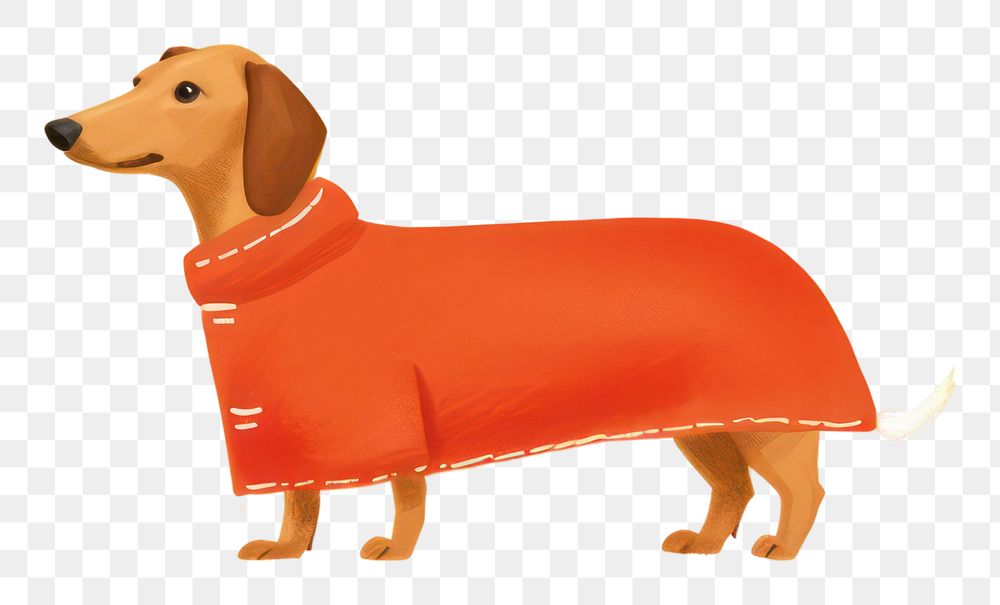 PNG A dachshund dog wearing hotdog costume on a yellow background animal mammal pet. AI generated Image by rawpixel.