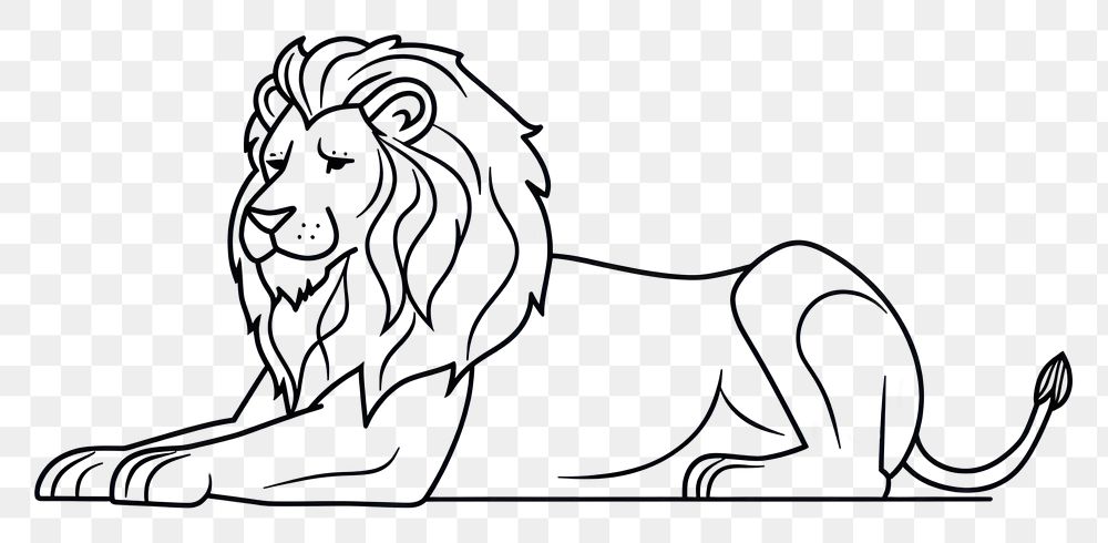 PNG Lion drawing animal mammal.