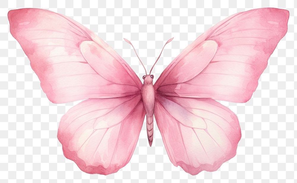 Light Pink Butterfly Badge Reel 