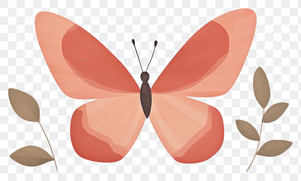 PNG Minimal butterfly insect animal invertebrate.