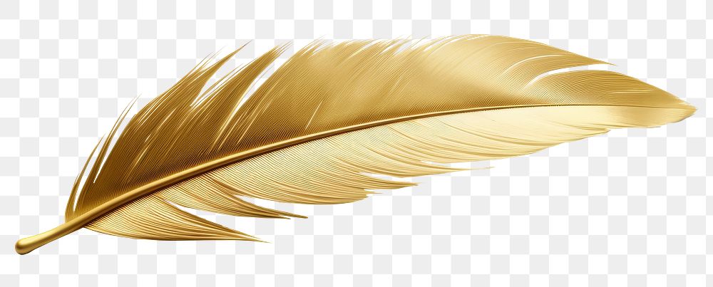 PNG Feather gold material leaf white background lightweight