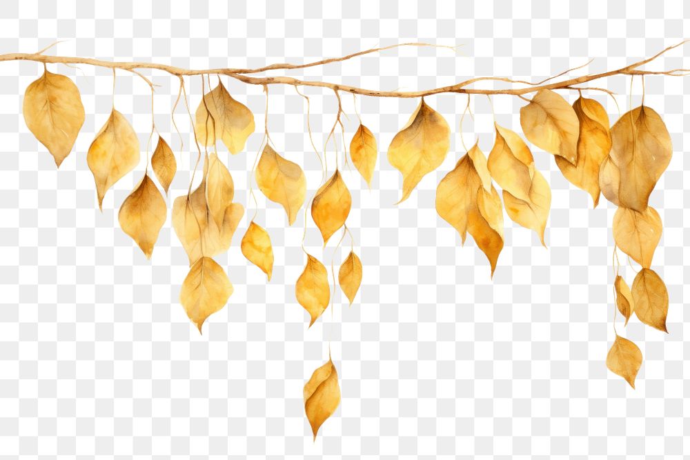 PNG Plant leaf decoration hanging.