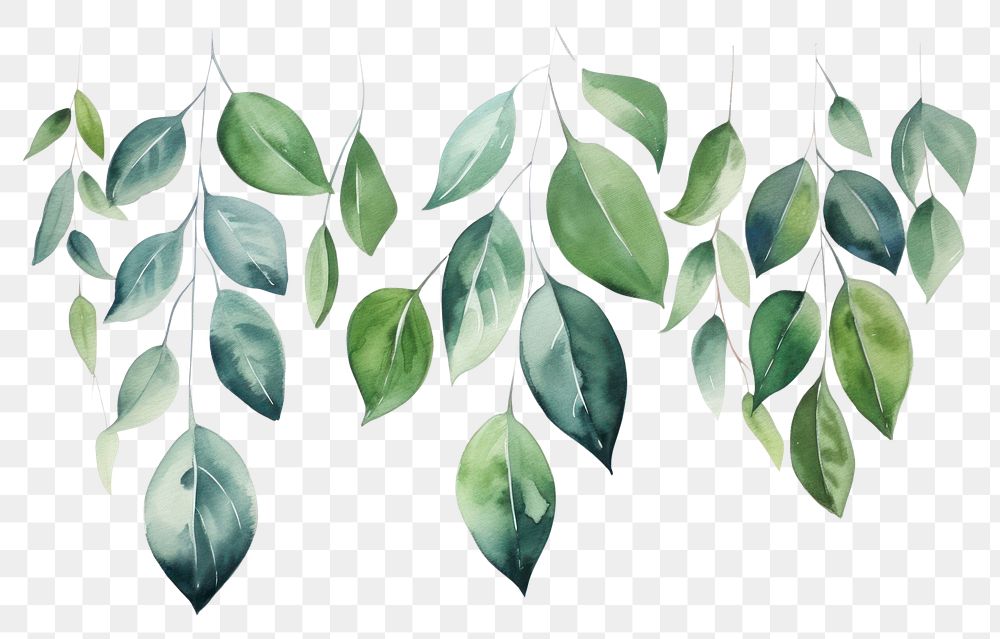 PNG Plant leaf backgrounds pattern.