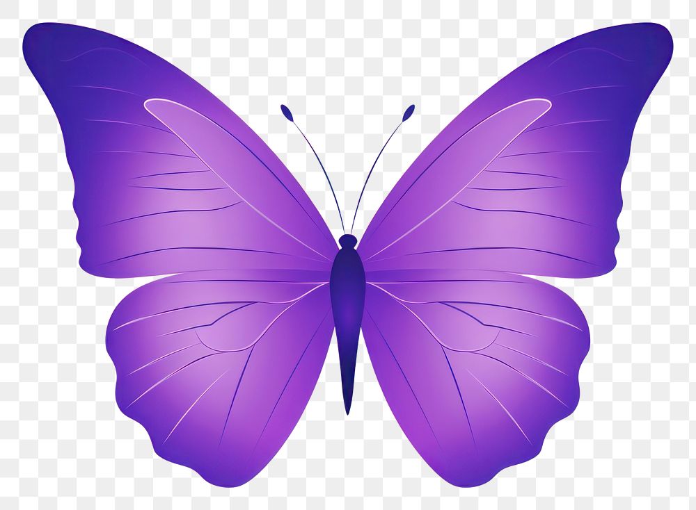 PNG  Violet butterfly insect animal purple.