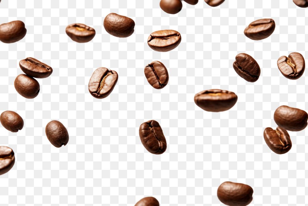 PNG Coffee beans backgrounds white background freshness
