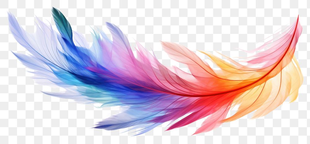 PNG Rainbow feathers pattern flying white background