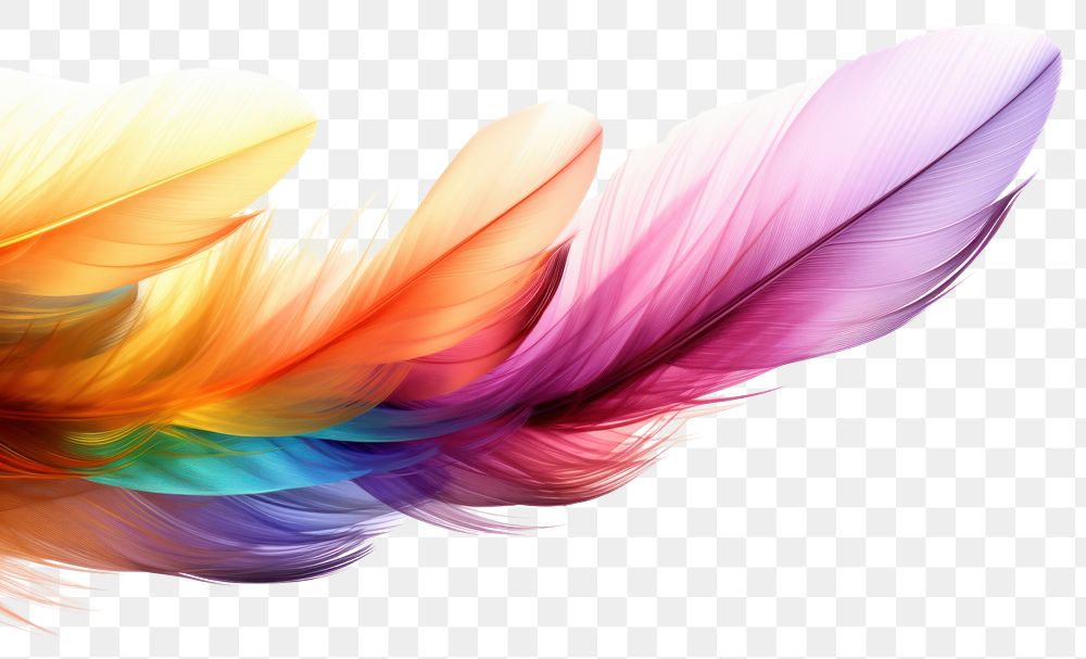 PNG Rainbow feathers backgrounds pattern flying.