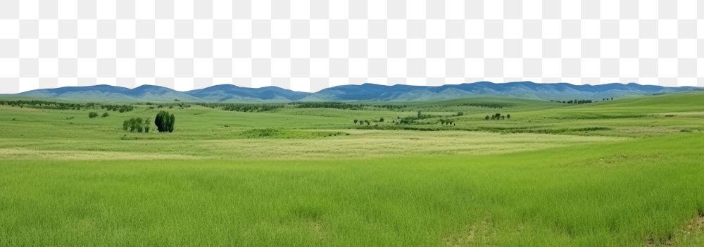 PNG  Panoramic grassland landscape sky outdoors horizon.