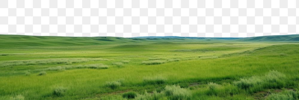 PNG  Panoramic grassland landscape sky outdoors horizon