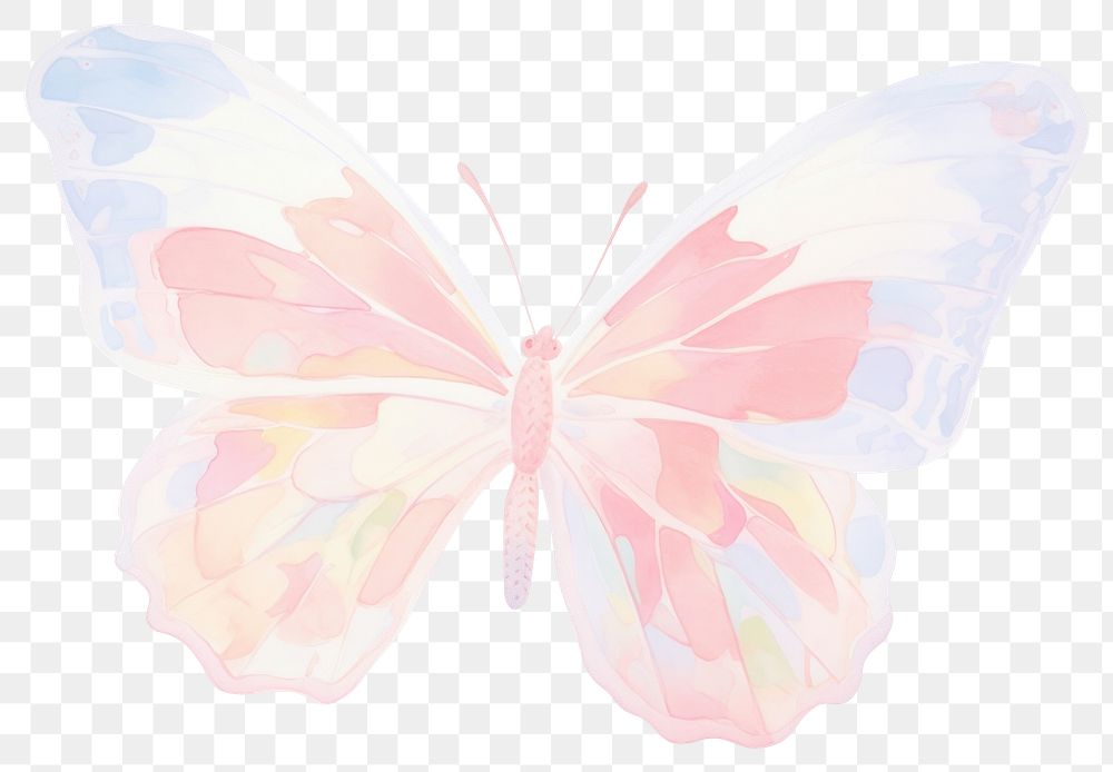 PNG  A red butterfly petal wing white background.