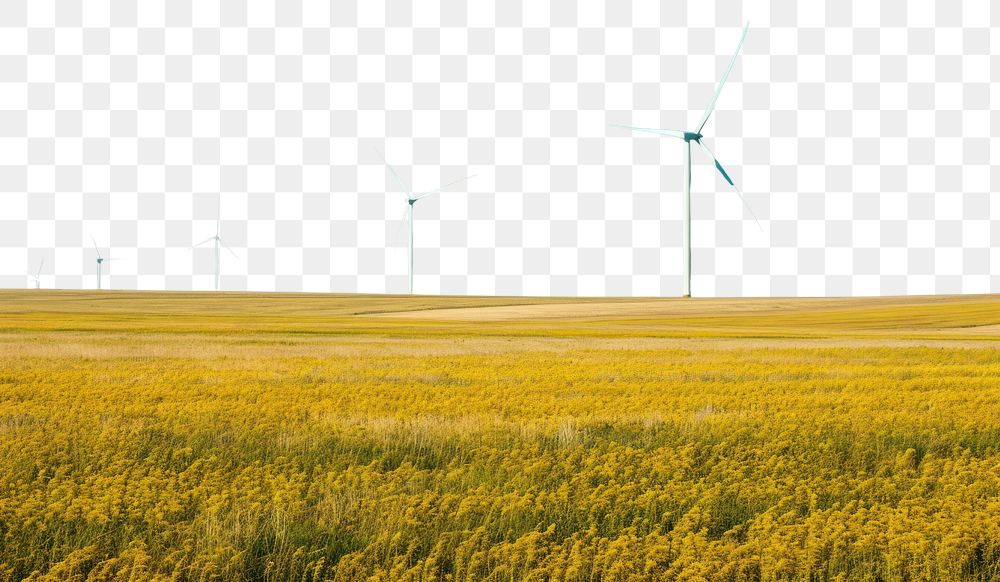 PNG  Empty scene of wind farm windmill outdoors turbine.