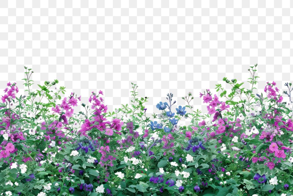 PNG  Flower bushes backgrounds outdoors blossom.