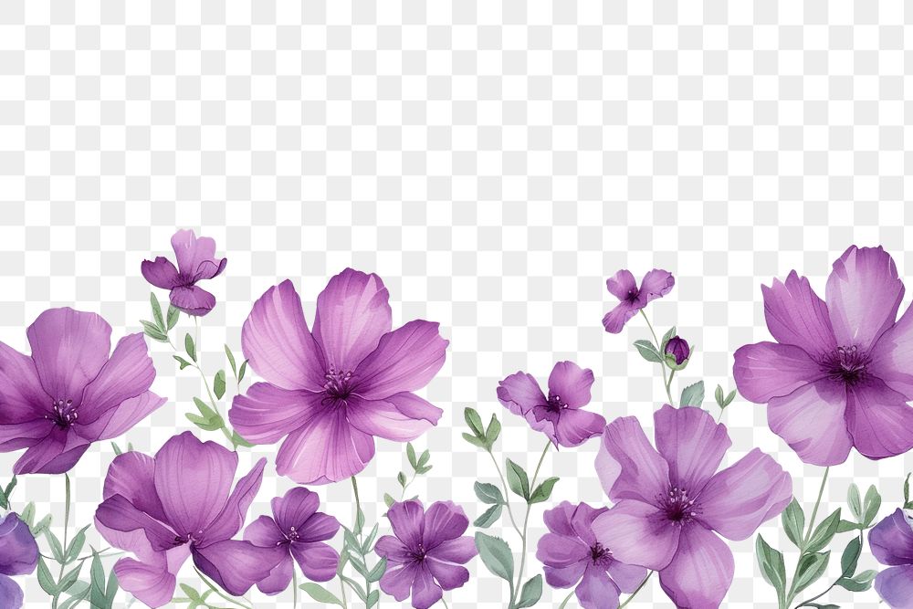 PNG  Purple flowers backgrounds petal plant.