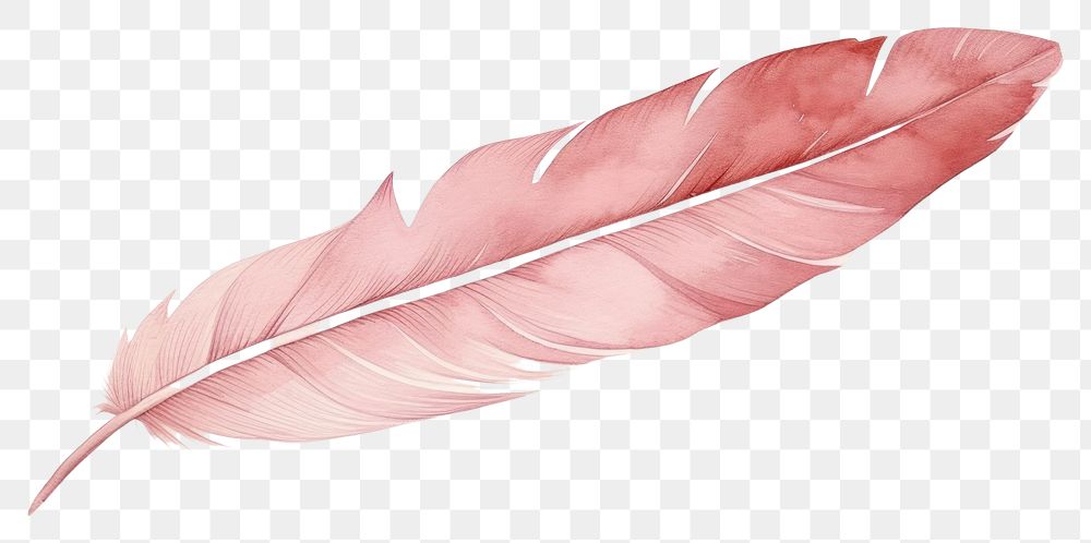 PNG  Abstract feather paper leaf art lightweight.