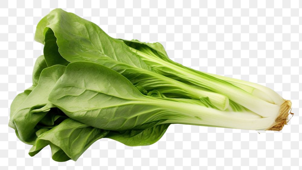 PNG Bok choy vegetable plant food ingredient. AI generated Image by rawpixel.
