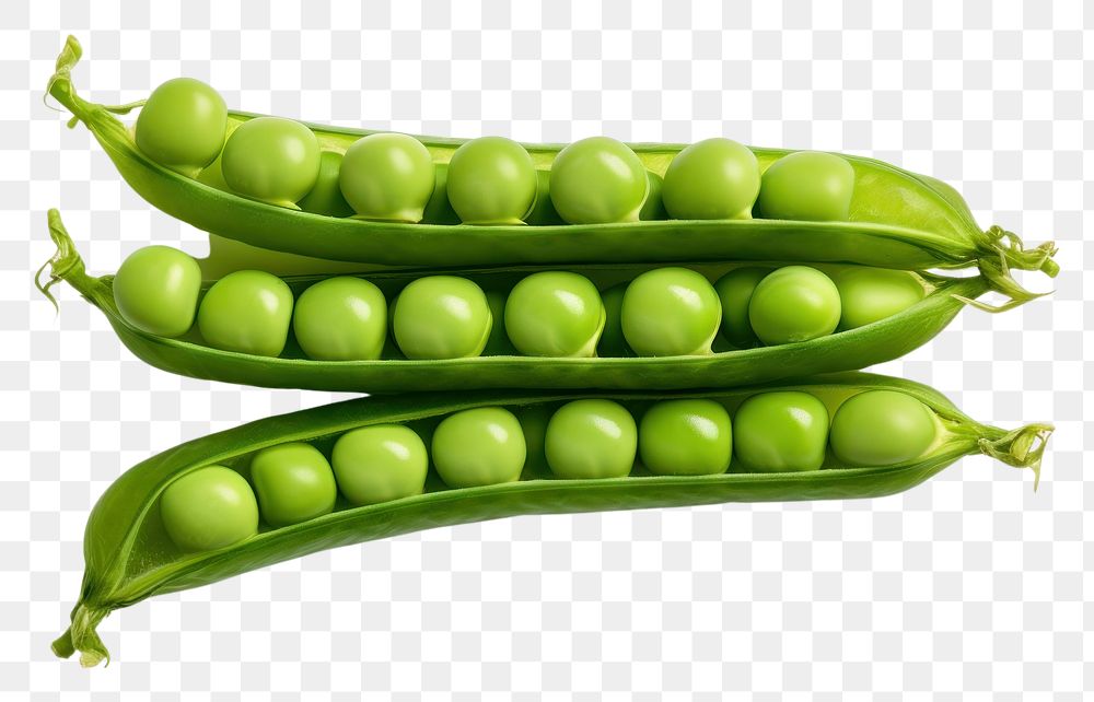 PNG Green peas vegetable green plant. AI generated Image by rawpixel.