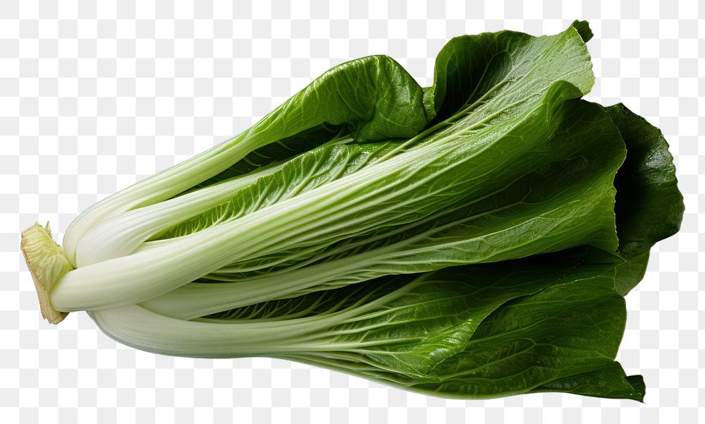 PNG Bok choy vegetable plant food ingredient. AI generated Image by rawpixel.