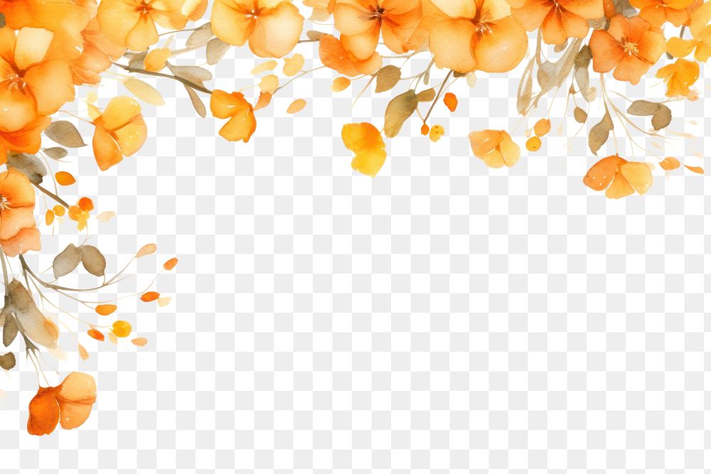 PNG Orange flowers border pattern plant backgrounds.